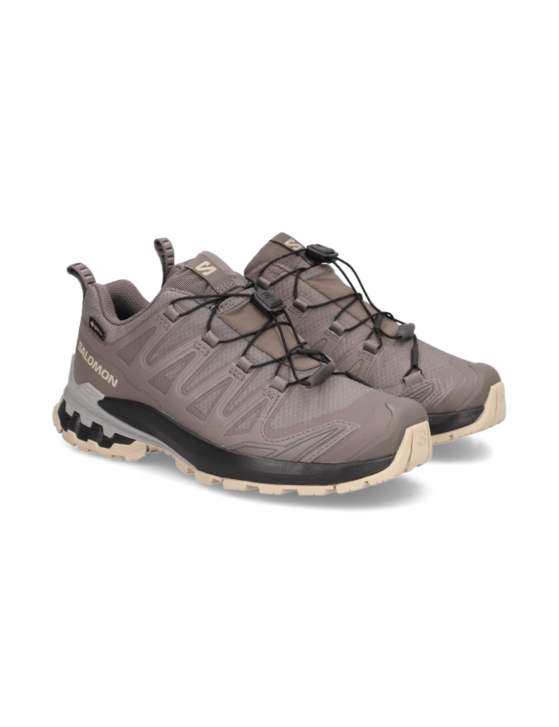Salomon-XA-PRO-3D-V9-GTX-W-grau