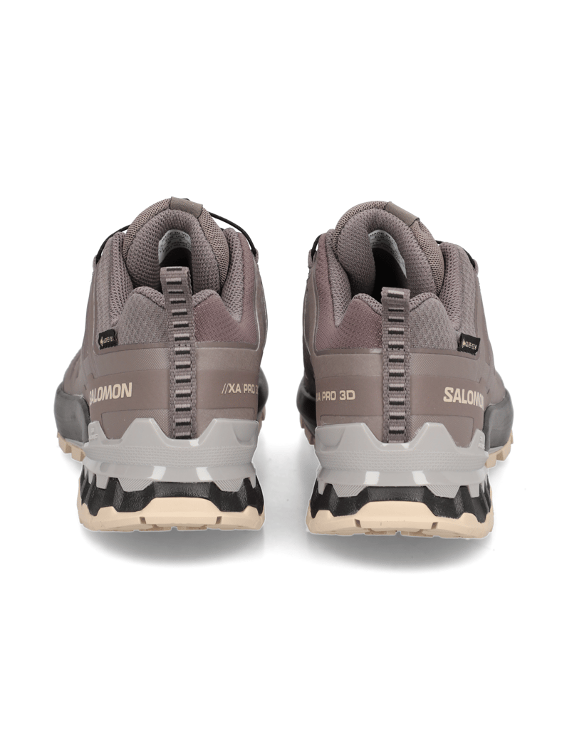 Salomon-XA-PRO-3D-V9-GTX-W-grau