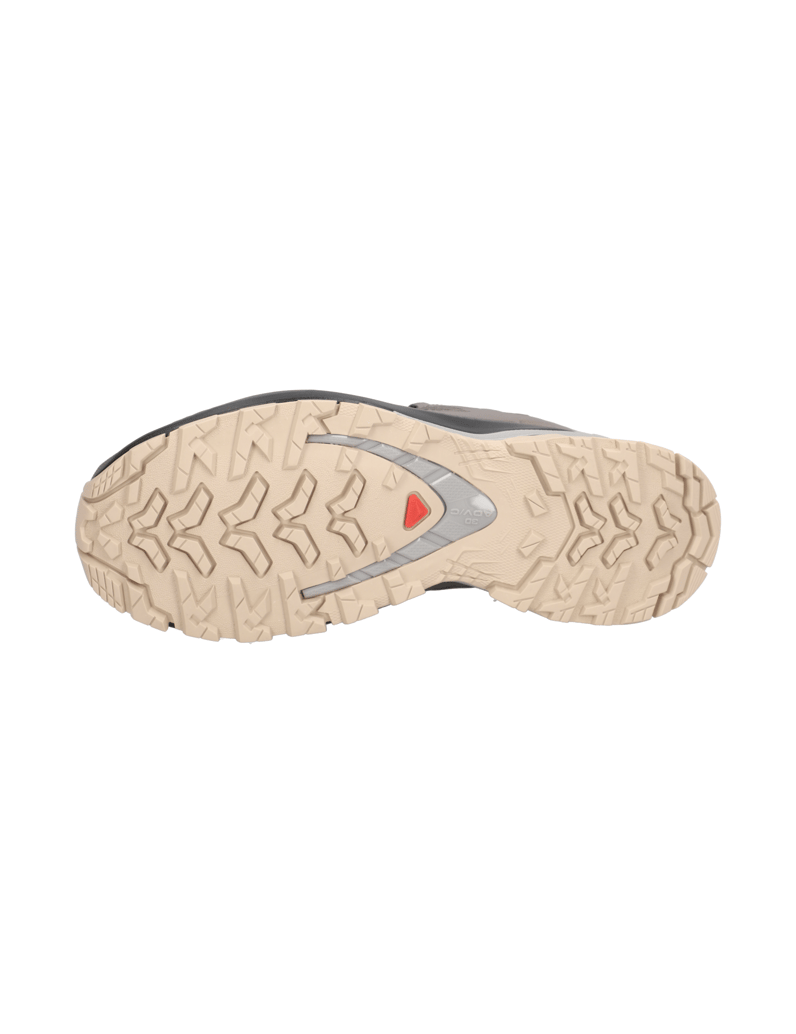 Salomon-XA-PRO-3D-V9-GTX-W-grau