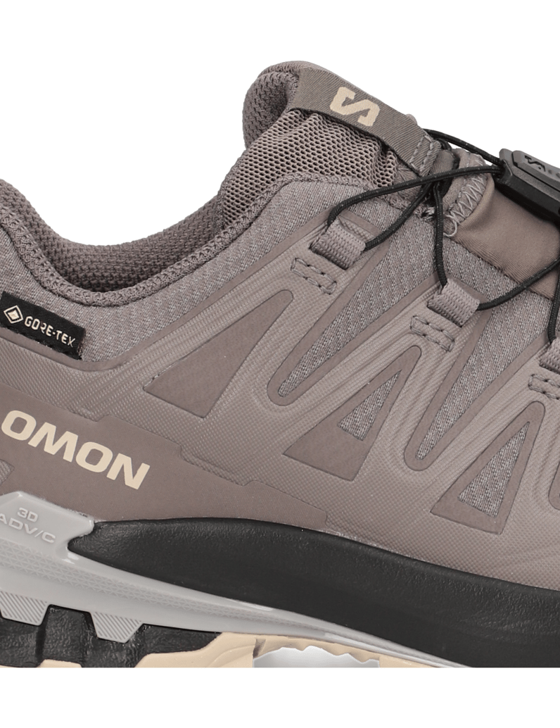Salomon-XA-PRO-3D-V9-GTX-W-grau