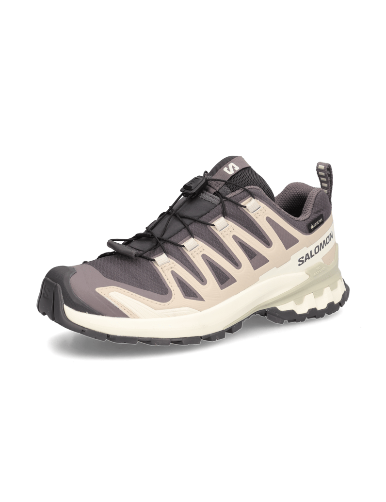 Salomon-XA-PRO-3D-V9-GTX-W-grau