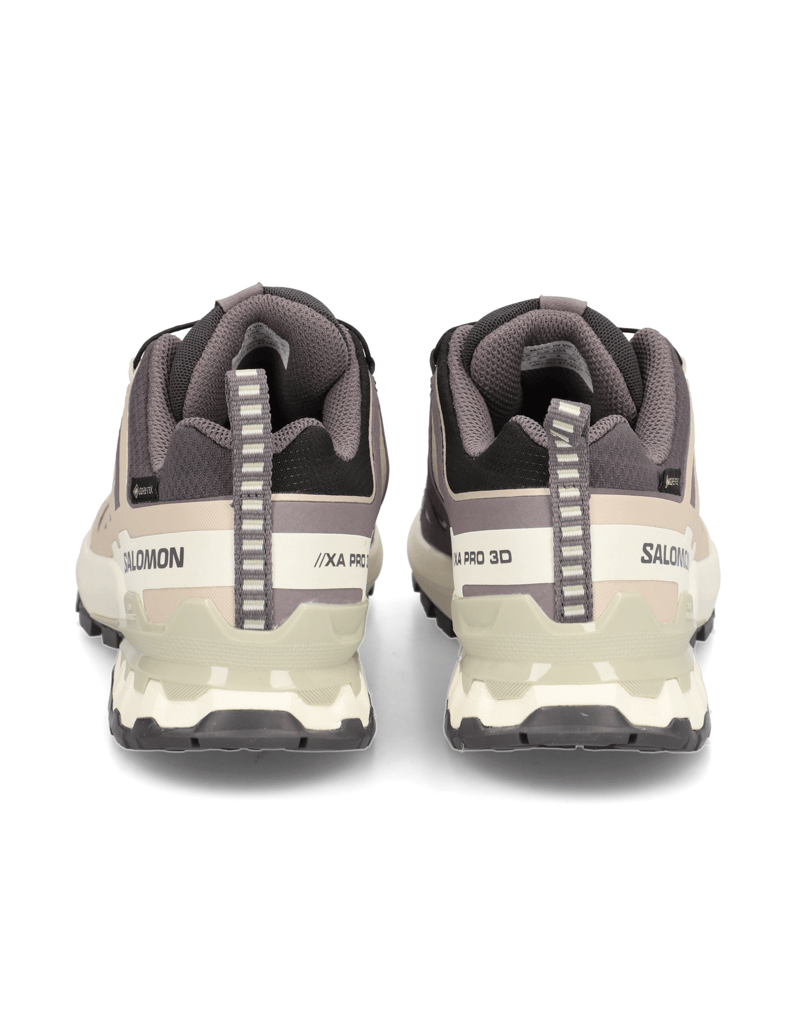 Salomon-XA-PRO-3D-V9-GTX-W-grau
