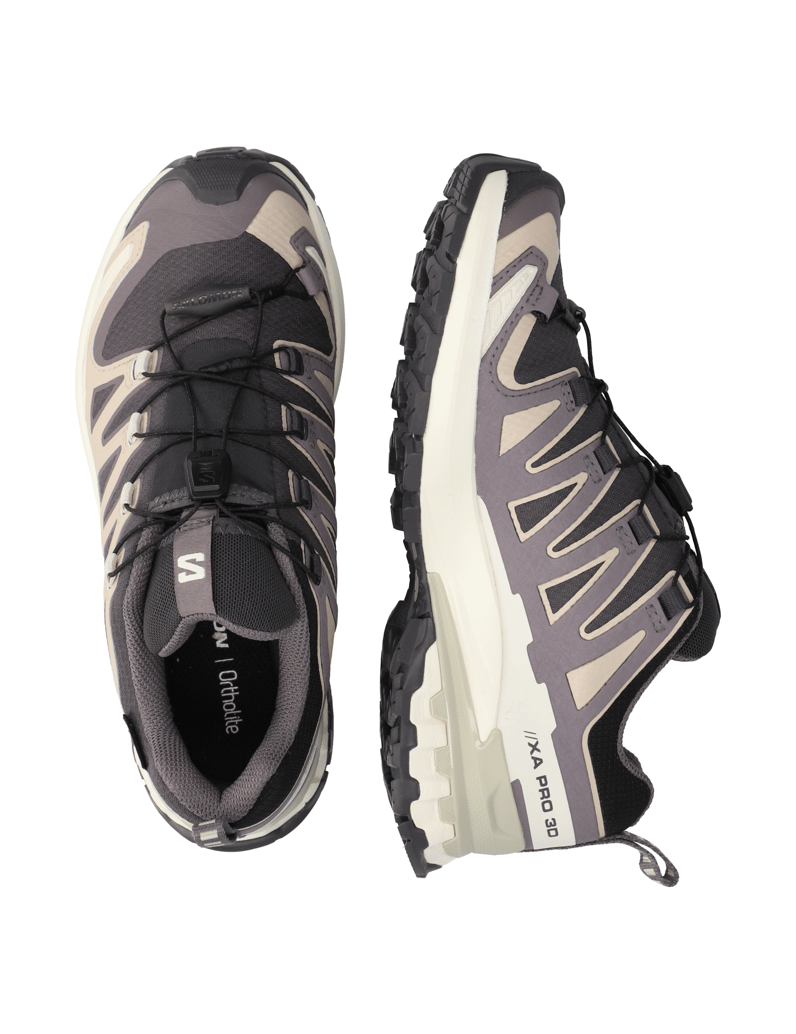 Salomon-XA-PRO-3D-V9-GTX-W-grau