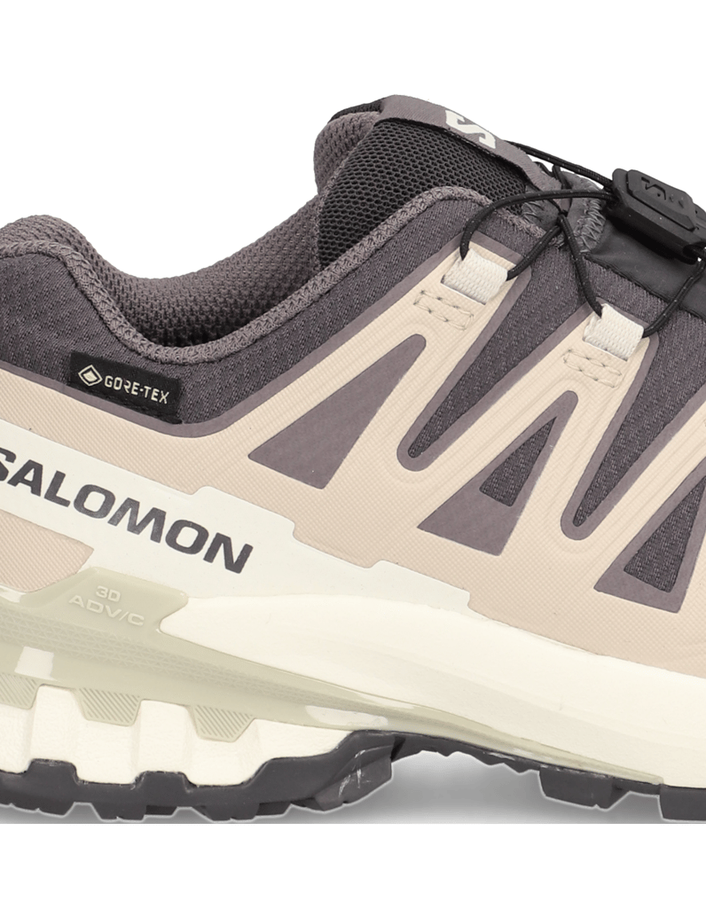 Salomon-XA-PRO-3D-V9-GTX-W-grau