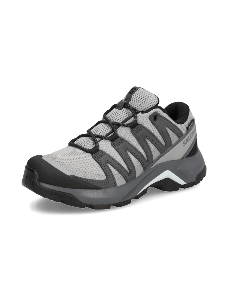 Salomon-X-ADVENTURE-RECON-GTX-W-hellblau