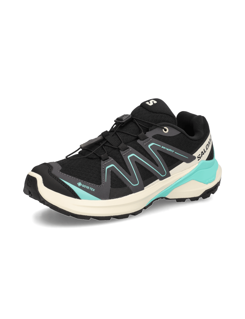 Salomon-EXAMOTION-GTX-W-schwarz