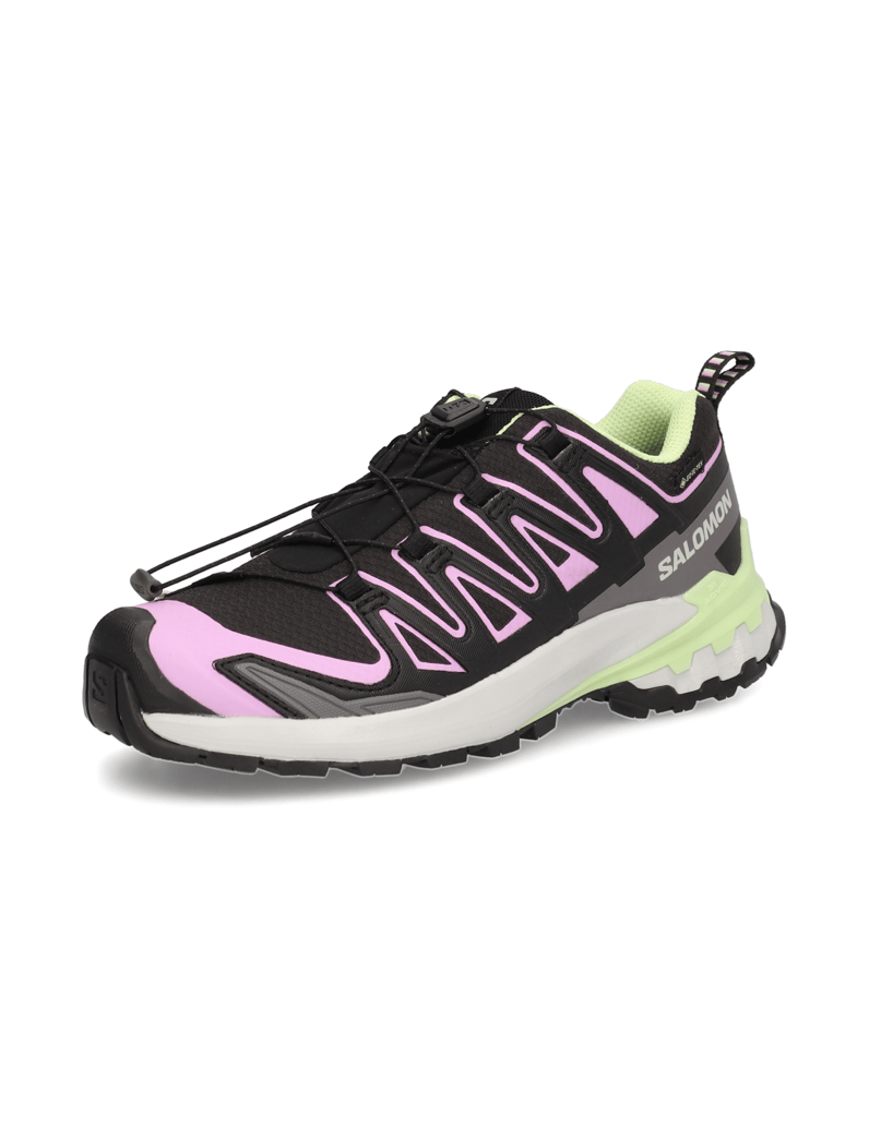 Salomon-XA-PRO-3D-V9-GTX-W-schwarz