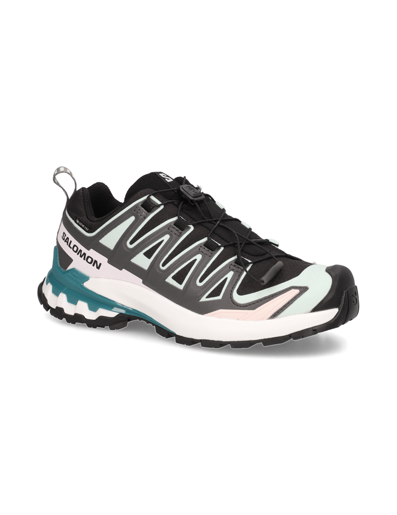 Salomon-XA-PRO-3D-V9-GTX-W-černá