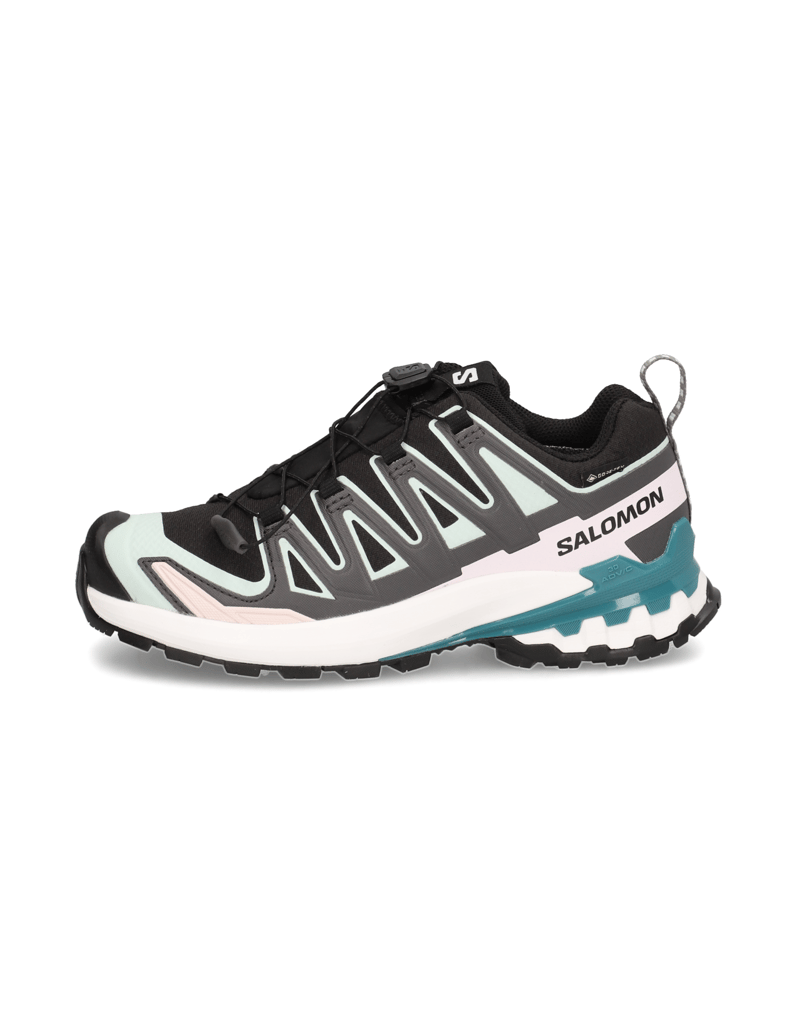 Salomon-XA-PRO-3D-V9-GTX-W-schwarz