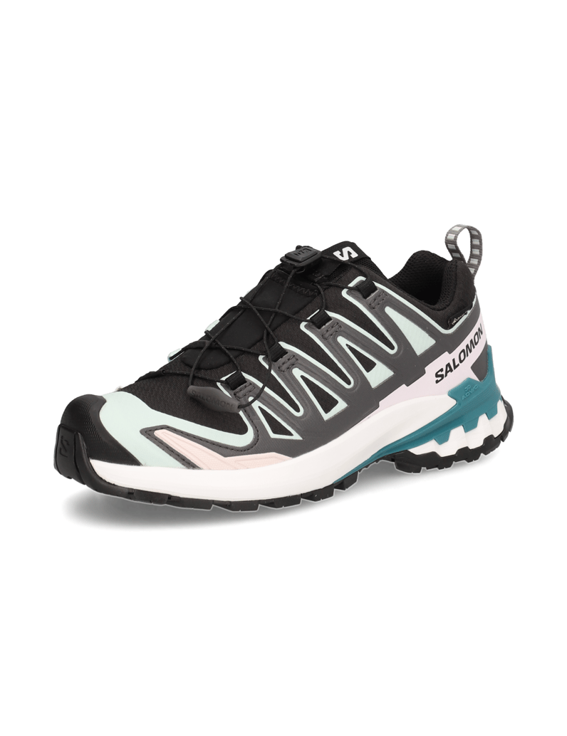 Salomon-XA-PRO-3D-V9-GTX-W-schwarz