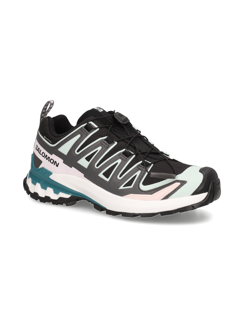 Salomon-XA-PRO-3D-V9-GTX-W-schwarz