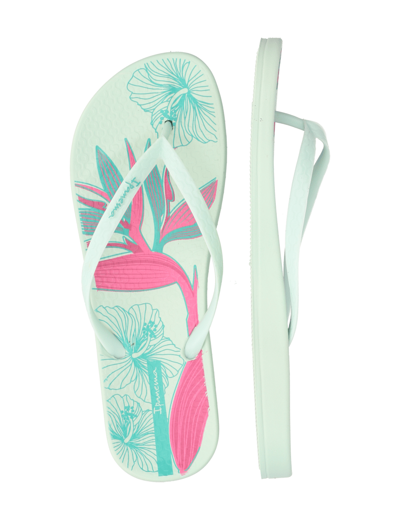 IPANEMA-IPANEMA-ANAT-TEMAS-XV-FEM-schwarz