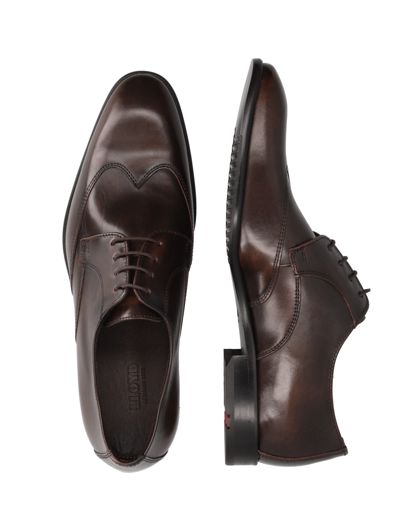 Lloyd-čevlji-na-vezalke-rjava