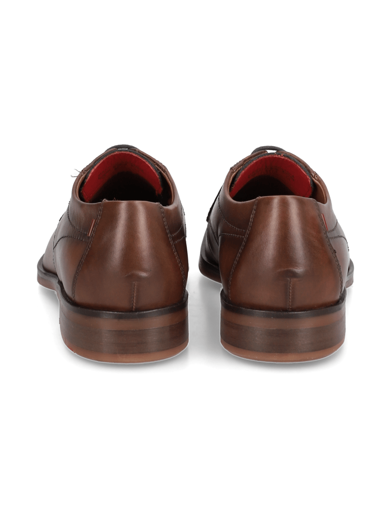 Lloyd-OSTIA-koňaková