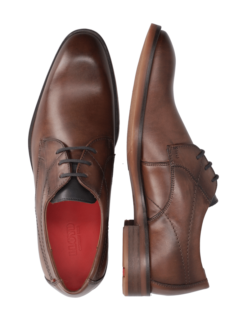 Lloyd-OSTIA-koňaková