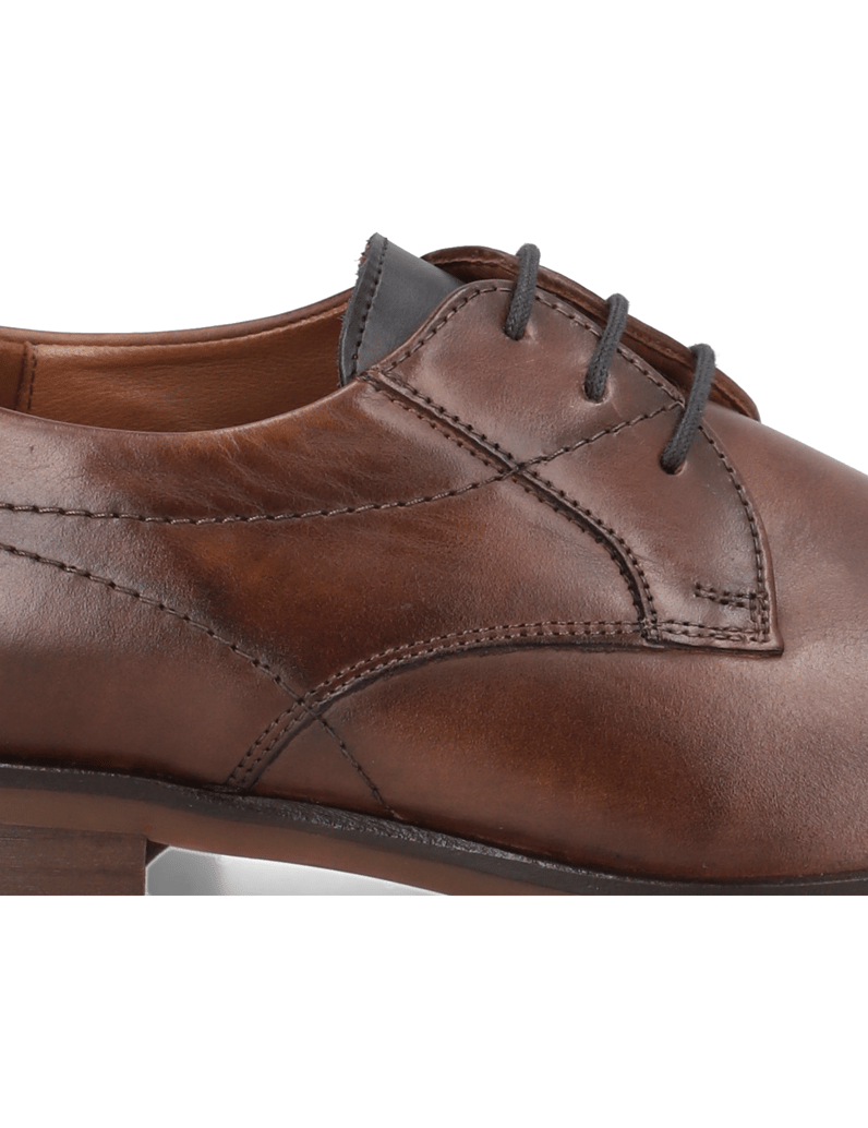 Lloyd-OSTIA-koňaková