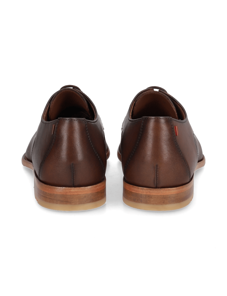 Lloyd-RANDALL-hnědá