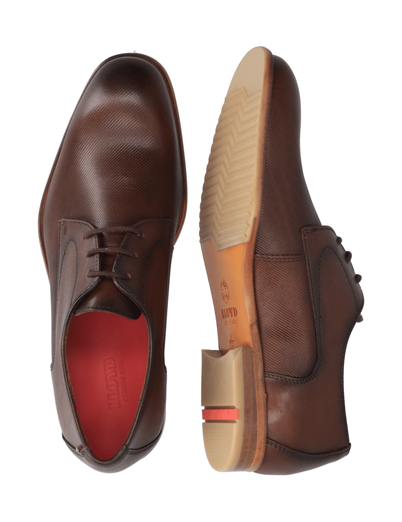 Lloyd-RANDALL-hnědá