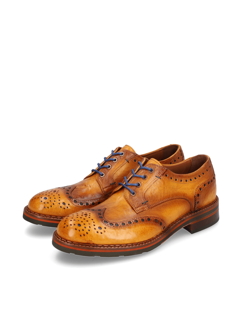 D.H.Pollak-Schnürer-Elegant