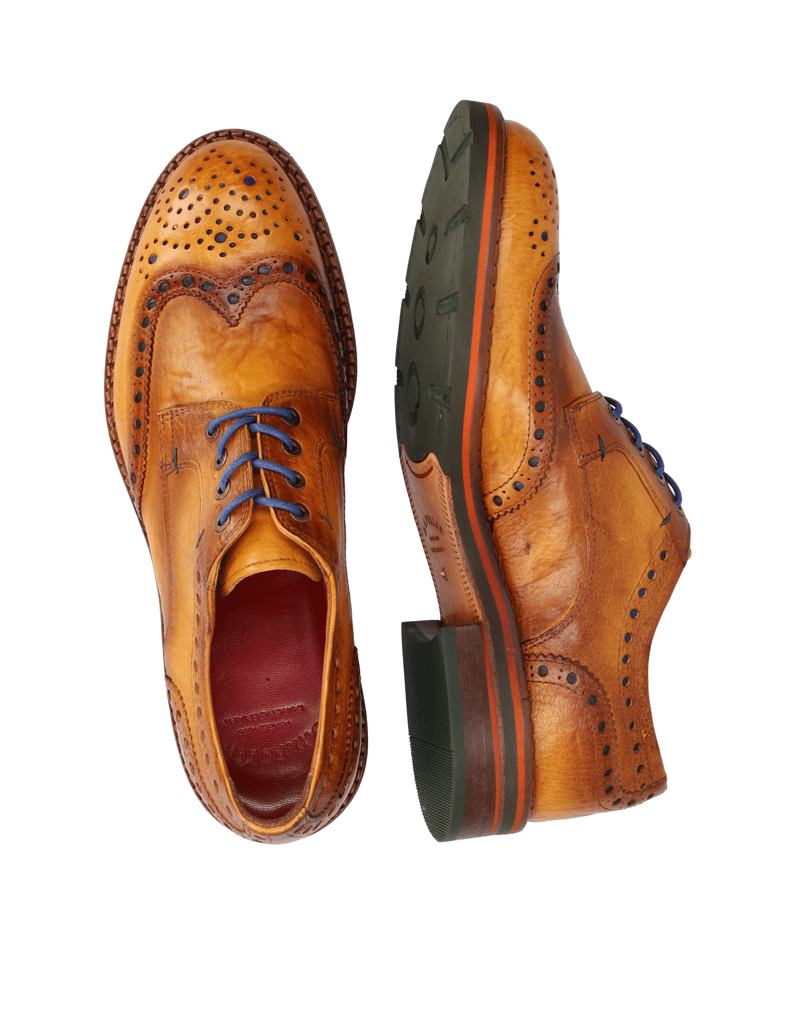 D.H.Pollak-Schnürer-Elegant