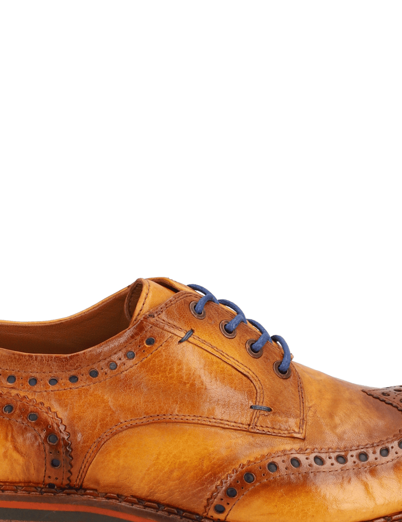 D.H.Pollak-Schnürer-Elegant