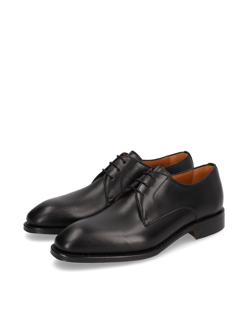 D.H.Pollak-Schnürer-Elegant