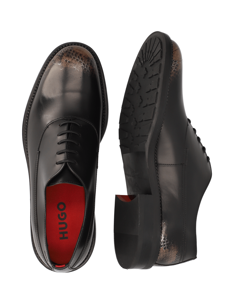 HUGO-Wntluxity_Oxfr_boex