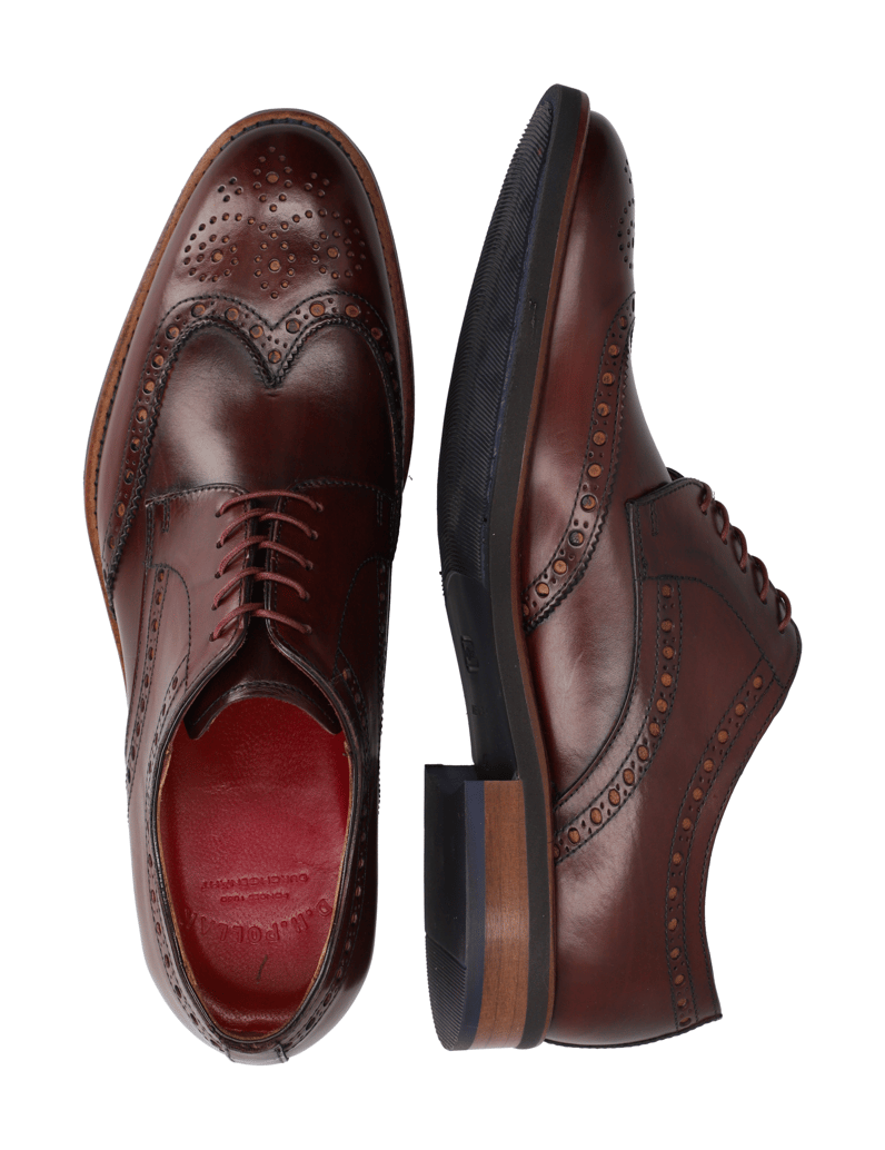 D.H.Pollak-gladko-usnje-čevlji-na-vezalke