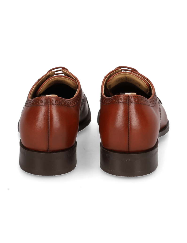 BOSS-Colby_Derb_brlt