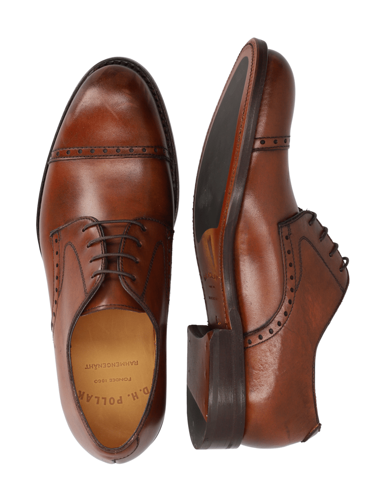 D.H.Pollak-Schnürer-Elegant