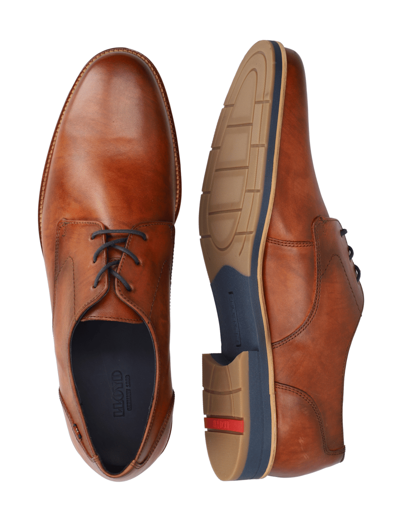 Lloyd-LANGSTON-braun