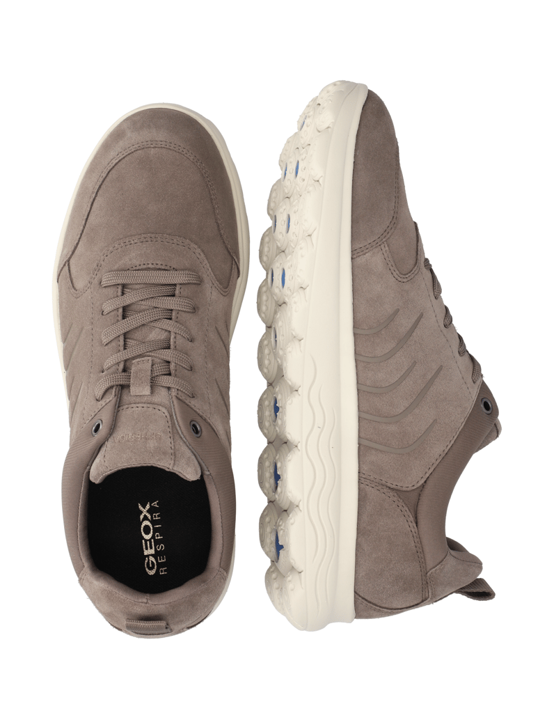 GEOX-SPHERICA-beige