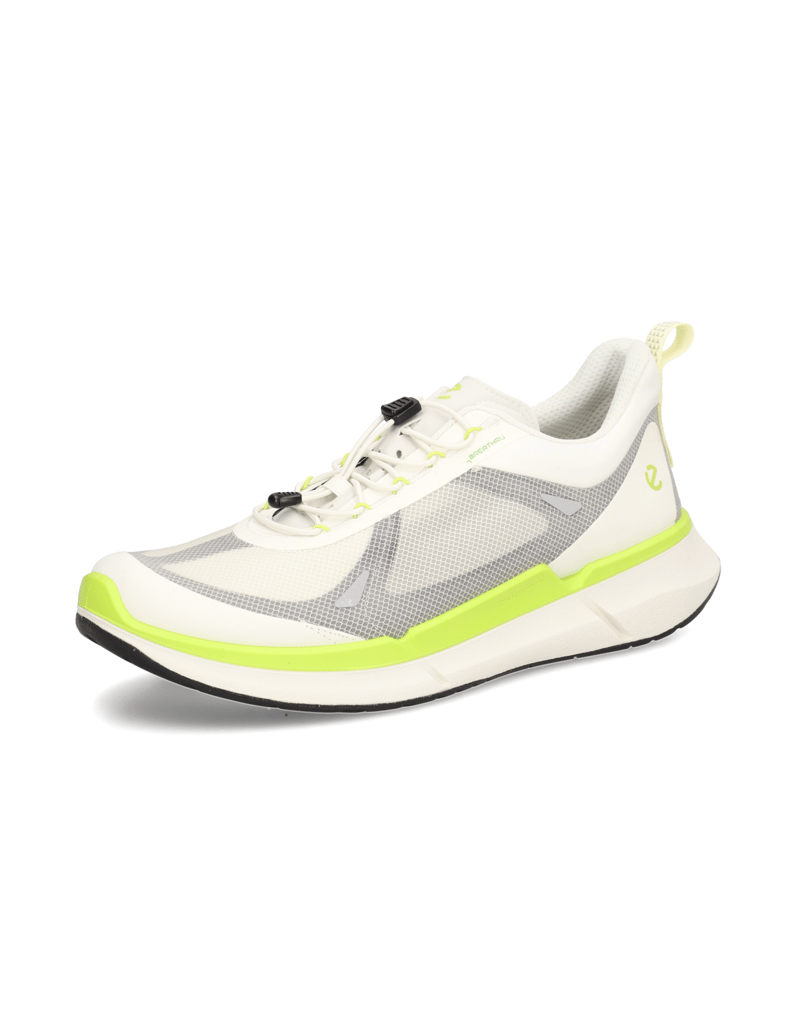 Ecco-ECCO-BIOM-2.2-M-grau