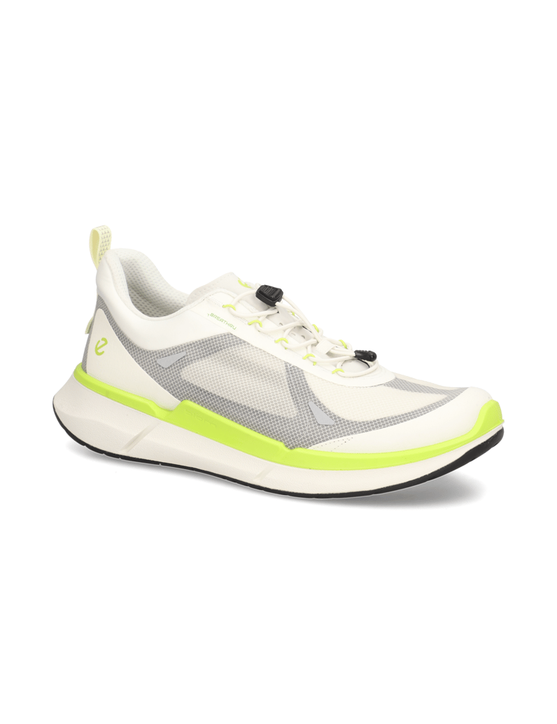 Ecco-ECCO-BIOM-2.2-M-grau