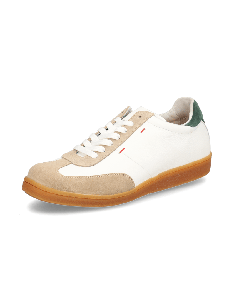 D.H.Pollak-kombinace-kůže-sportovní-polobotky