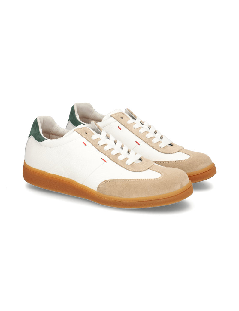 D.H.Pollak-kombinace-kůže-sportovní-polobotky