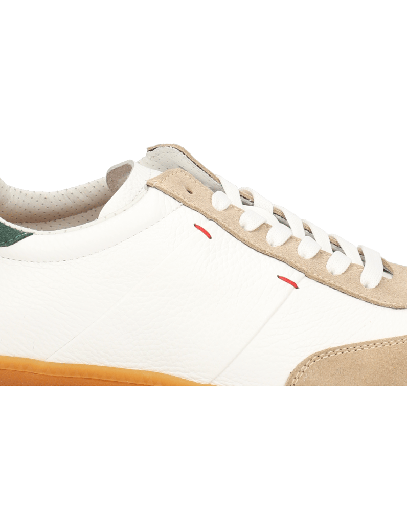 D.H.Pollak-kombinace-kůže-sportovní-polobotky