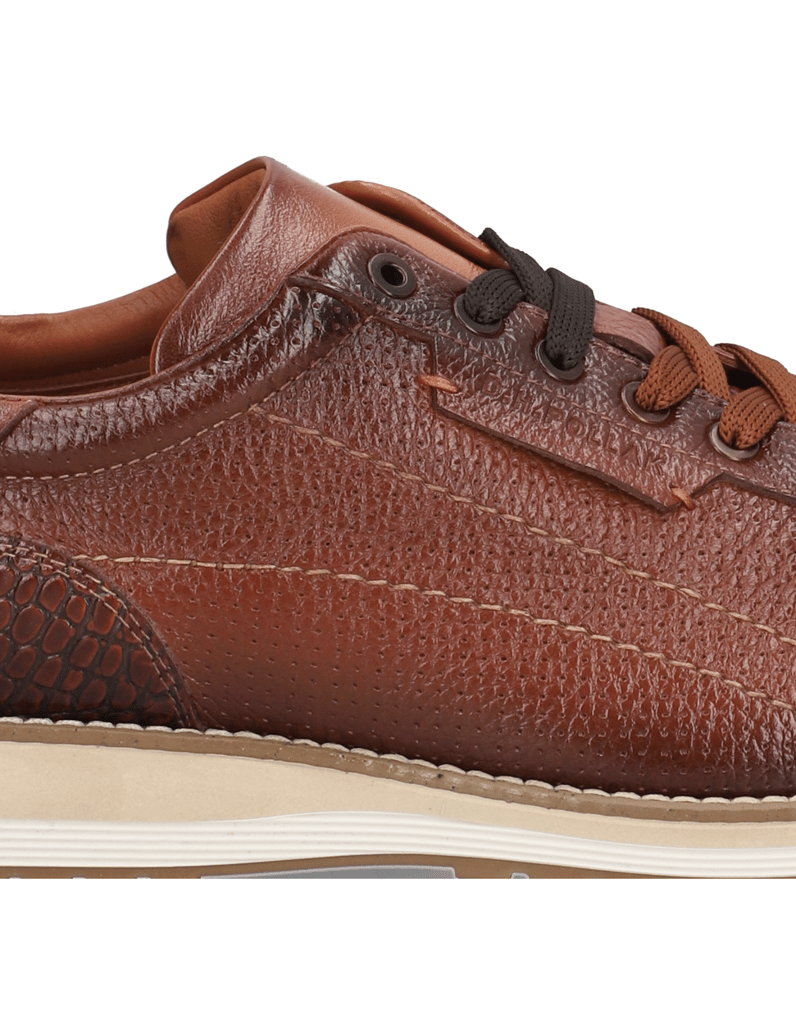 D.H.Pollak-Schnürer-sportiv-braun