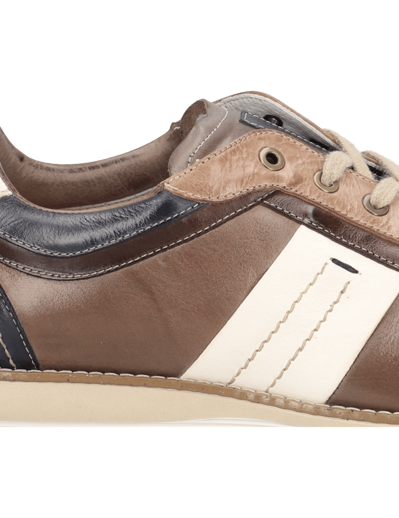 D.H.Pollak-Schnürer-sportiv-braun