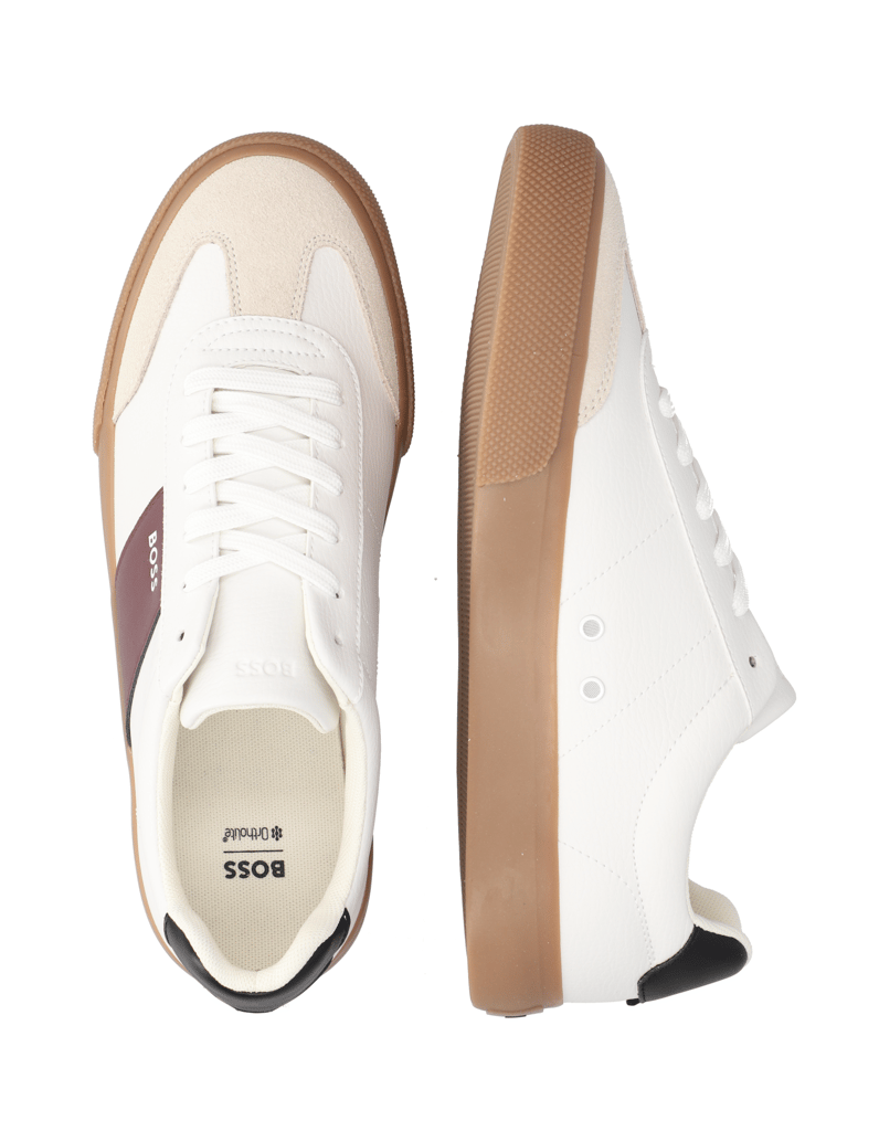 BOSS-Aiden_Tenn_sdgpup-rjava