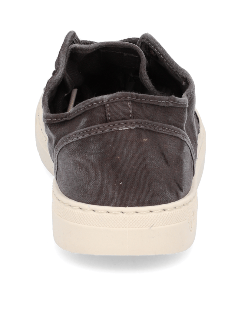 Natural-World-Old-Snail