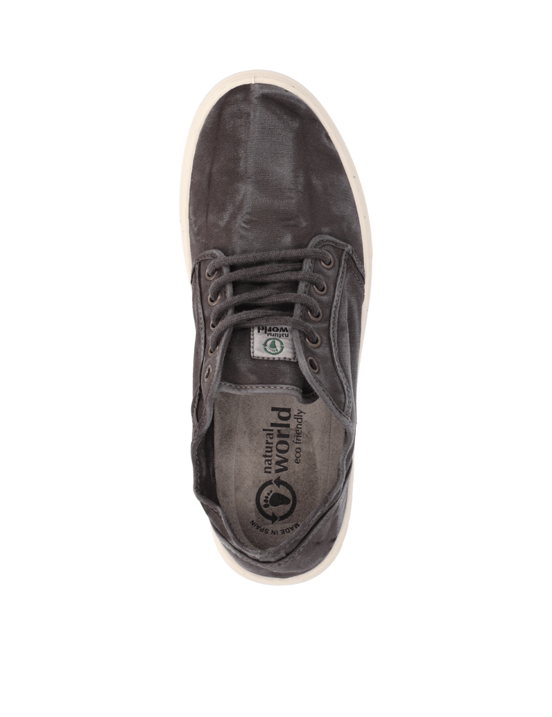 Natural-World-Old-Snail