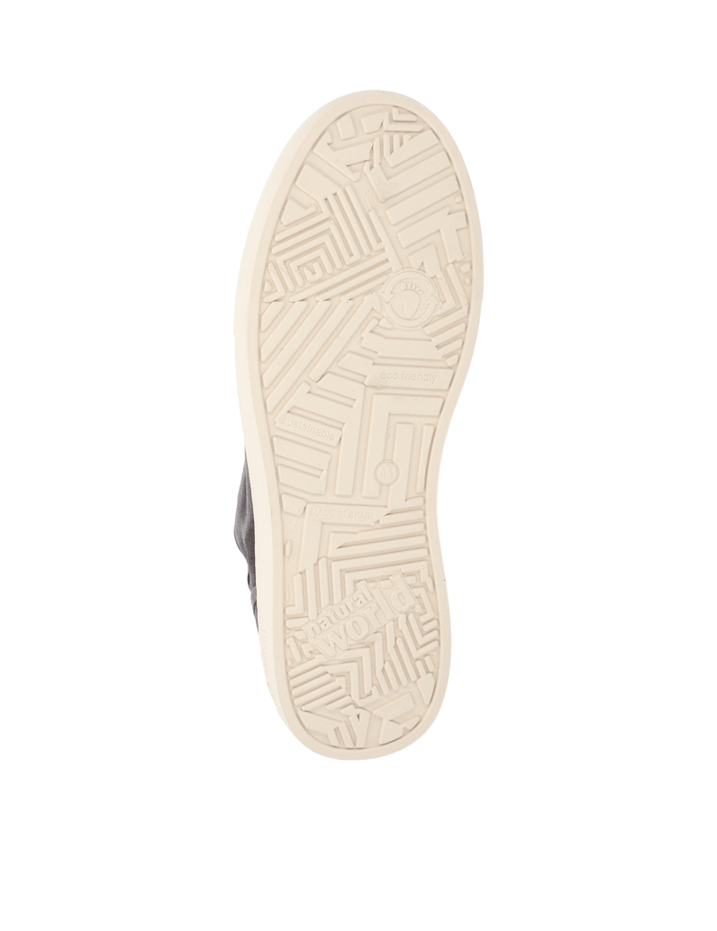 Natural-World-Old-Snail