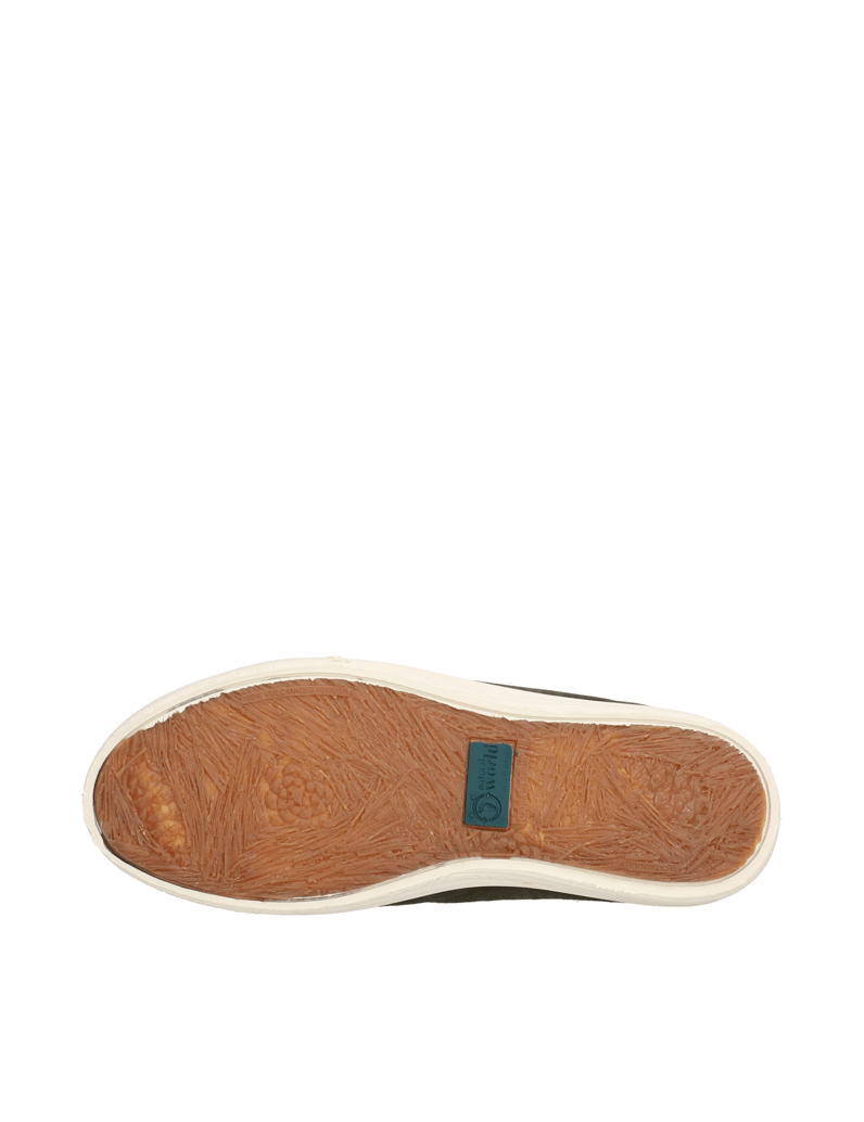 Natural-World-BASQUET-ENZIMATICO