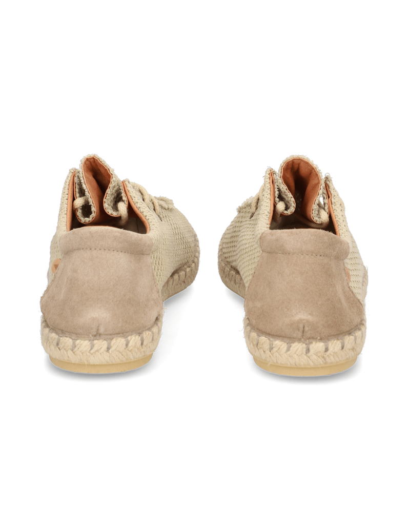 Verbenas-TRUMAN-BUZZBEE-blau