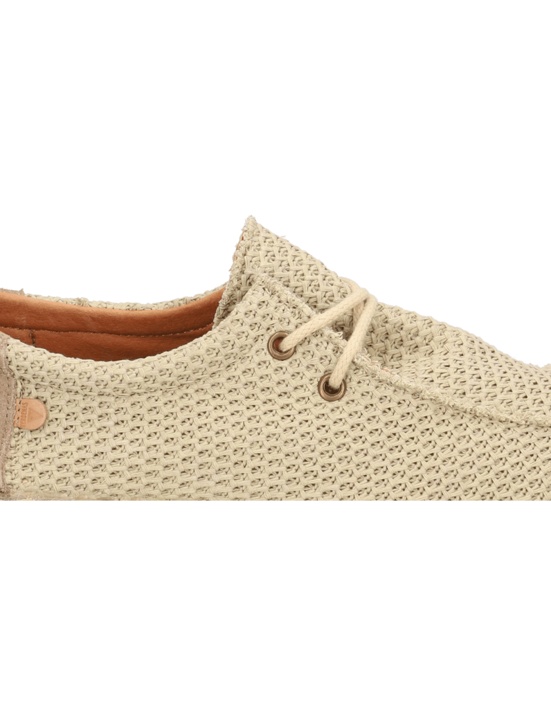 Verbenas-TRUMAN-BUZZBEE-blau