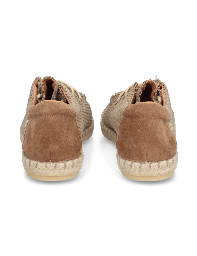 Verbenas-TRUMAN-BUZZBEE-grau