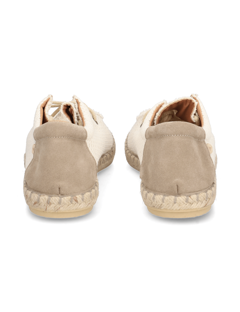 Verbenas-TRUMAN-BUZZBEE-grau