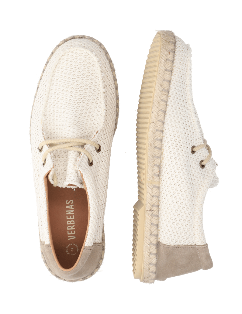 Verbenas-TRUMAN-BUZZBEE-grau