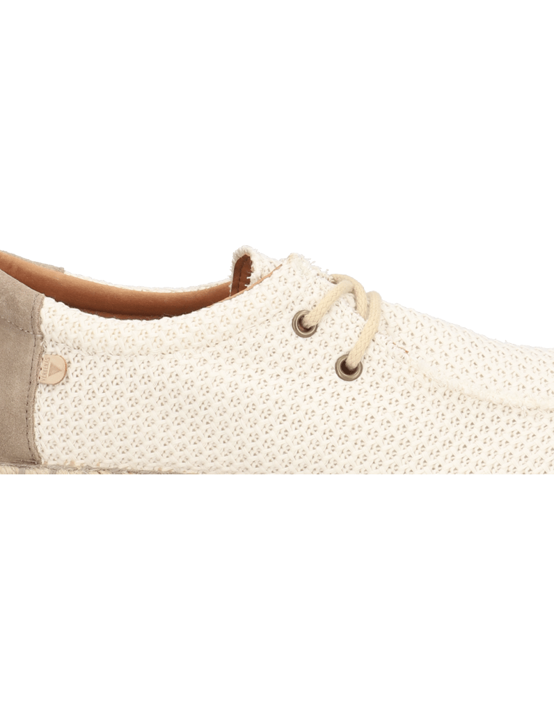 Verbenas-TRUMAN-BUZZBEE-grau